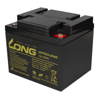Akku-Satz 24V 50Ah mit 2x Kung Long WP50-12NE für Trend