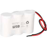 Akkupack 3,6V 4,0Ah NiCd Notleuchten HT Reihe F31NICD4000 1