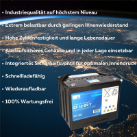 Exide Sonnenschein GF 12 063 Y O 12V 63Ah dryfit Gel Traktio
