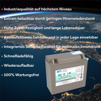 Exide Sonnenschein GF 12 014 Y F 12V 14Ah dryfit Gel Traktio