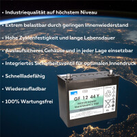 Exide Sonnenschein GF 12 044 Y 12V 44Ah dryfit Gel Traktions