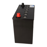 Exide Sonnenschein GF 12 044 Y 12V 44Ah dryfit Gel Traktions