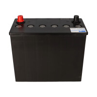 Exide Sonnenschein GF 12 044 Y 12V 44Ah dryfit Gel Traktions
