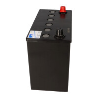 Exide Sonnenschein GF 12 044 Y 12V 44Ah dryfit Gel Traktions