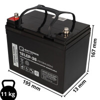 Q-Batteries 12LCP-36 12 V 36 Ah AGM Deep-Cycle-Akku 2
