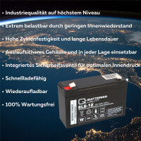 Q-Batteries 6LS-12 6V 12Ah Blei-Vlies Akku / AGM VRLA mit Vd