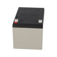 Yuasa RE12-12FR AGM-Bleiakku Standby & zyklisch 12V 12Ah