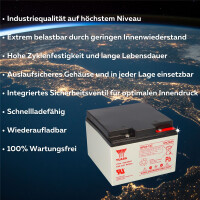 Yuasa Blei-Akku NP24-12I Pb 12V / 24Ah VdS, M5 Innengewinde 