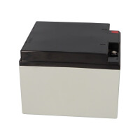 Yuasa NP24-12I AGM-Bleiakku 12V 24Ah VdS – M5-Innengew
