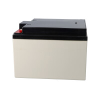 Yuasa NPL24-12I Longlife AGM-Bleiakku 12V 24Ah – M5-In