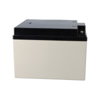 Yuasa NPL24-12I Longlife AGM-Bleiakku 12V 24Ah – M5-In