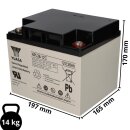 Yuasa Blei-Akku NPL38-12I Pb 12V / 38Ah 10-12 Jahresbatterie, M5 Innen