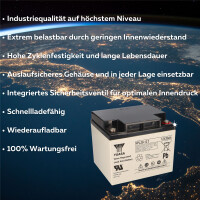 Yuasa Blei-Akku NPL38-12I Pb 12V / 38Ah 10-12 Jahresbatterie