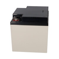 Yuasa NPL38-12I Longlife AGM-Bleiakku 12V 38Ah 5