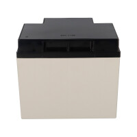 Yuasa NPL38-12I Longlife AGM-Bleiakku 12V 38Ah 6