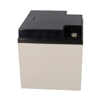 Yuasa NPL38-12I Longlife AGM-Bleiakku 12V 38Ah 7