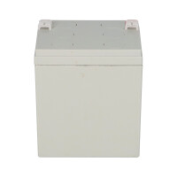 Yuasa NPH5-12 High-Rate AGM-Bleiakku 12V 5Ah – Faston 