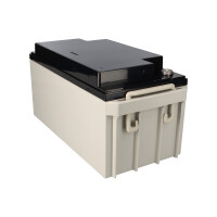 Yuasa NP65-12I AGM-Bleiakku 12V 65Ah VdS – M6-Innengew