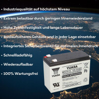 Yuasa REC10-12 zyklenfester AGM-Bleiakku 12V 10Ah – Fa