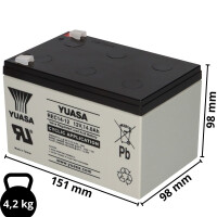 Yuasa REC14-12 zyklenfester AGM-Bleiakku 12V 14Ah – Fa