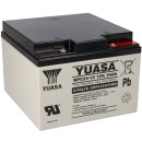 Yuasa Blei-Akku NPC24-12I Pb 12V / 24AhvZyklenfest, M5...