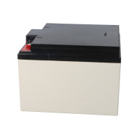 Yuasa NPC24-12I zyklenfester AGM-Bleiakku 12V 24Ah – M