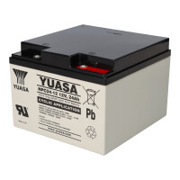 Yuasa NPC24-12I zyklenfester AGM-Bleiakku 12V 24Ah – M
