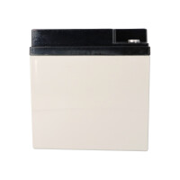 Yuasa NPC38-12I zyklenfester AGM-Bleiakku 12V 38Ah – M