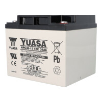 Yuasa NPC38-12I zyklenfester AGM-Bleiakku 12V 38Ah – M