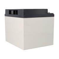 Yuasa NPC38-12I zyklenfester AGM-Bleiakku 12V 38Ah – M