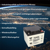 Yuasa REC50-12I zyklenfester AGM-Bleiakku 12V 50Ah – M