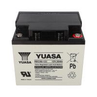 Yuasa REC50-12I zyklenfester AGM-Bleiakku 12V 50Ah – M