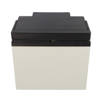 Yuasa REC50-12I zyklenfester AGM-Bleiakku 12V 50Ah – M