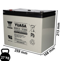 Yuasa REC80-12I zyklenfester AGM-Bleiakku 12V 80Ah – M