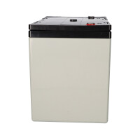 Yuasa REC80-12I zyklenfester AGM-Bleiakku 12V 80Ah – M