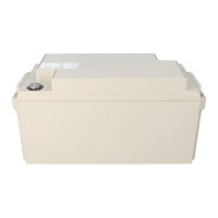Yuasa NPL130-6IFR Longlife AGM-Bleiakku 6V 130Ah flammhemmen