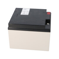 Yuasa SWL750 High-Rate Longlife AGM-Bleiakku 12V 25Ah 5