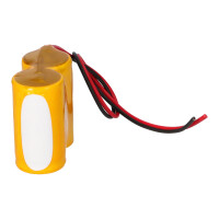 Notleuchten-Akku 2,4V 4,5Ah NiCd F1x2 D-Zellen mit Kabel 5