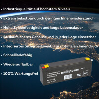 Blei Akkueinsatz Horcher Lift Modell Nina, Mona N206-1012 zu
