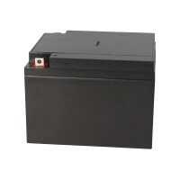 B-Ware Kung Long WP24-12 12V 24Ah AGM Bleiakku M5 VdS 3