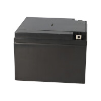 B-Ware Kung Long WP24-12 12V 24Ah AGM Bleiakku M5 VdS 5