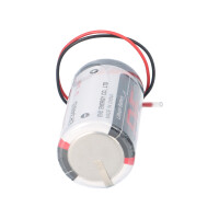 EVE ER34615/FL D‑Zelle 3,6 V Li‑SOCl2, 19.000 mAh, −60