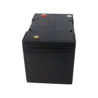 Typenschild EVX12-76 12V 76Ah, Maße 260×168&time