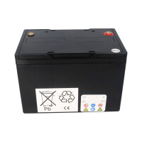 Landport EVX12-76 T6 12V 76Ah AGM-GEL Blei-Carbon Deep Cycle