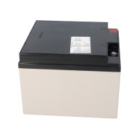 Yuasa SWL+800 High-Rate Longlife AGM-Bleiakku 12V 25Ah 800W/