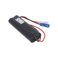 Notleuchten-Akku NiCd 4,8V 800mAh L2x2 AA ersetzt GAZ 516100