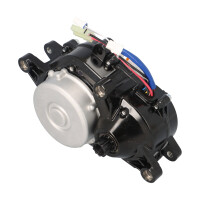 E-Bike Motor Panasonic GX Ultimate NUA270F 36V 250W 95Nm 6