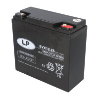 60V 25Ah Akku-Satz 5x Landport | Ersatz für 6-DZM-20 6