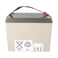 Akku-Satz 24V 100Ah für Lecson HS-890, HS-915, HS-928 &