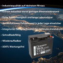 Q-Batteries 12LS-18 12V 18Ah Blei-Vlies-Akku AGM VRLA mit...